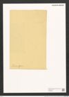 Scoliopleura peisonis Grun. (de-Toni-Nr.: Genus 14, Species 1110) Zeichnungen Sammlung Grunow (NHMW-BOT-W0369269)